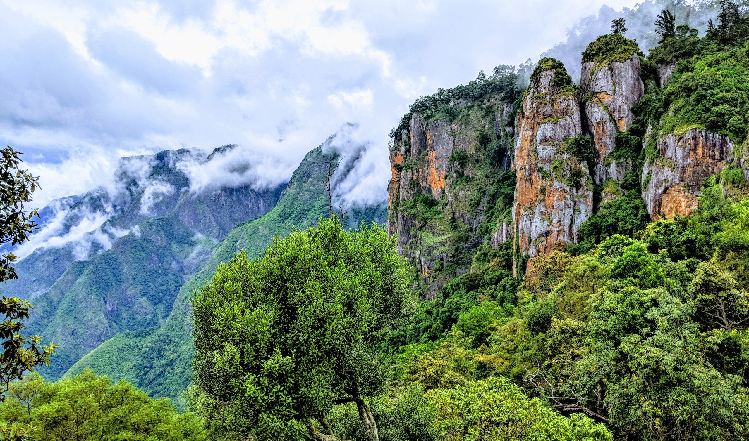 Tourist-Places-in-Kodaikanal- 1